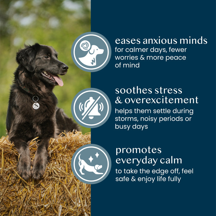 Fettle Pure & Gentle Calming Support Powder for Dogs