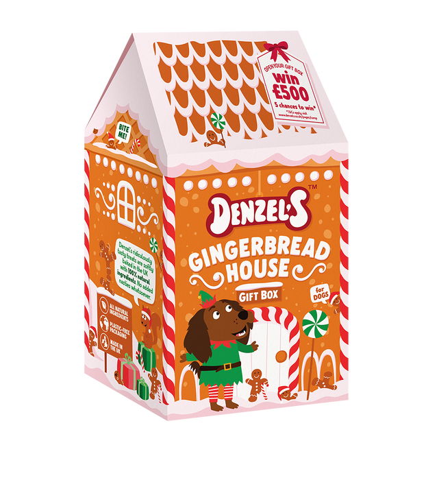 Denzel's Christmas Gingerbread House Dog Treats Gift Box - 180g