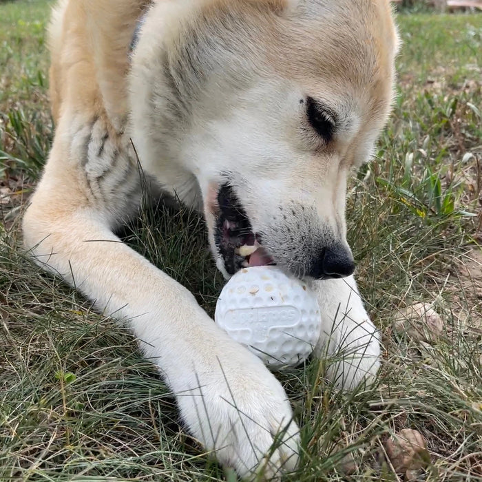 Golf balls for dogs clearance