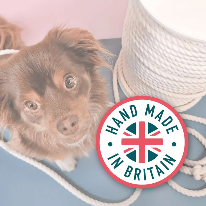 Goodchap's Pup's First Fetch and Tug natural cotton rope toys