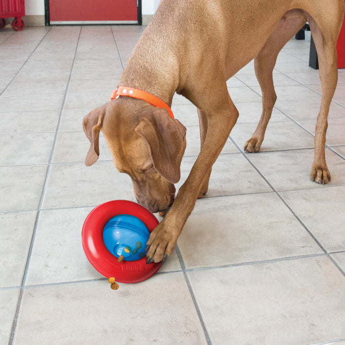 A brown dog wearing an orange collar investigates a red and blue plastic toy on a light gray tiled floor.
