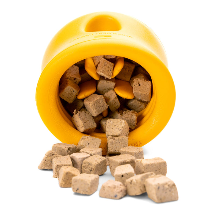 West Paw Zogoflex Toppl Limited Edition - Sunflower