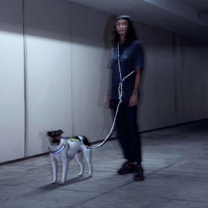 Handless dog leash clearance