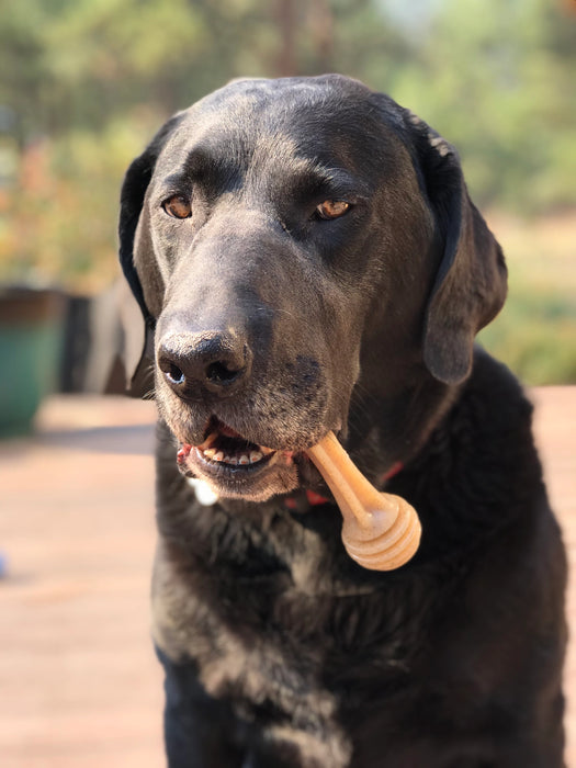 Honey Dipper Shaped Nylon Chew Bone for Dogs