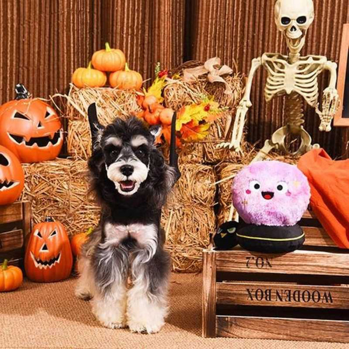 Hugsmart Crystal Ball Halloween Squeaky Plush Dog Toy