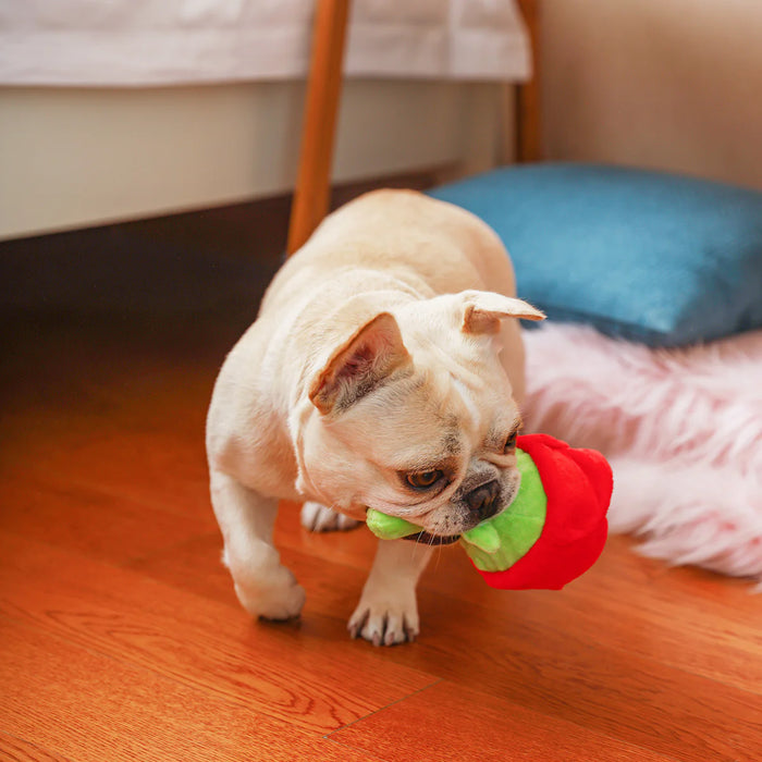 Hugsmart Pet Woof Love Dog Ball Toy - Valentine's Day Rose