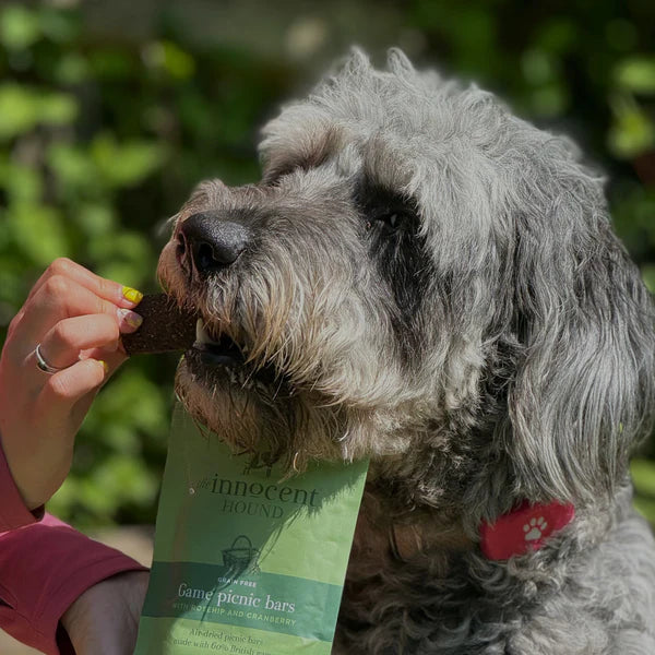 The Innocent Hound Game Picnic Bars with Rosehip & Cranberry - 2 Bars