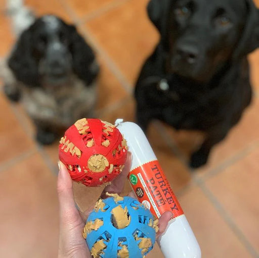 pate in dog toys with two dogs