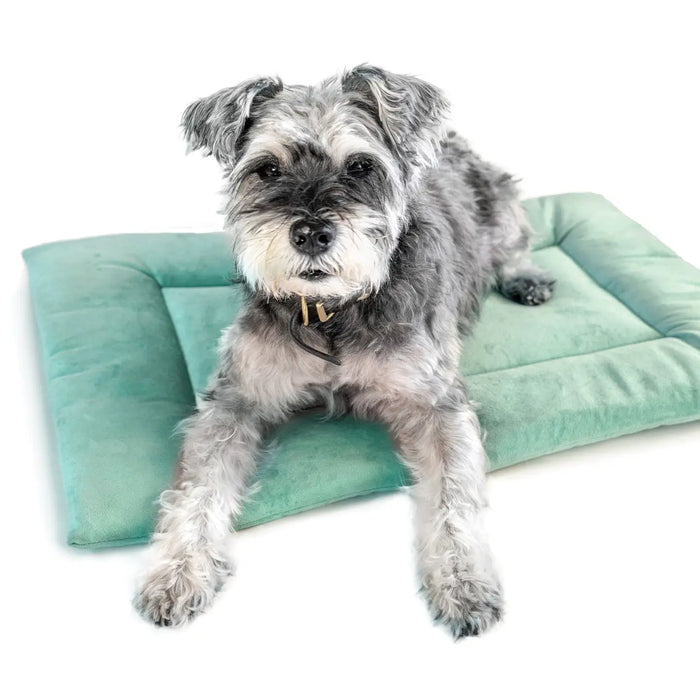 KindTail Pawd® Pad Pet Crate Bed - Light Green