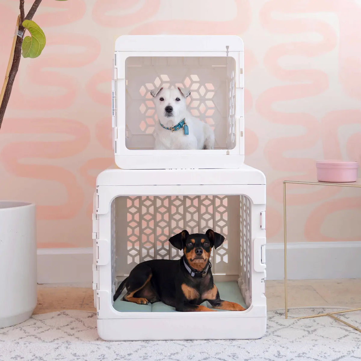 Padded Plastic Dog Crate Frames photo