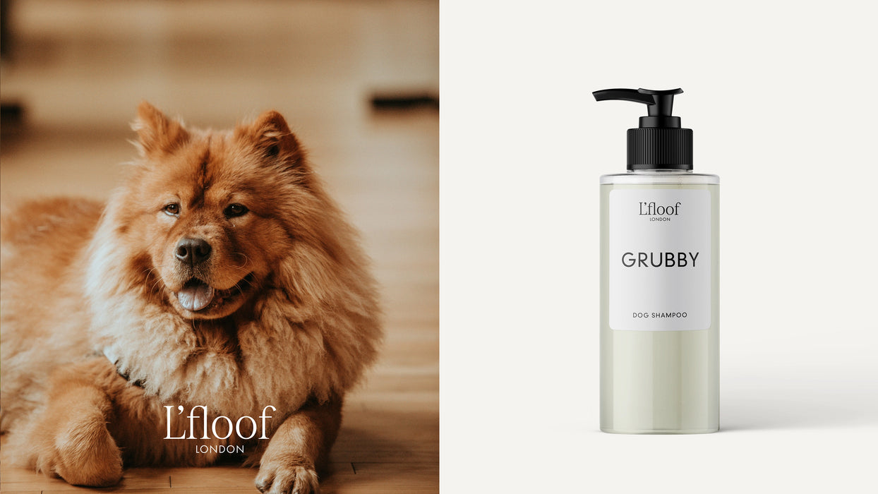Collage of a fluffy dog and a bottle of 'L'floof' Grubby shampoo on a white background.