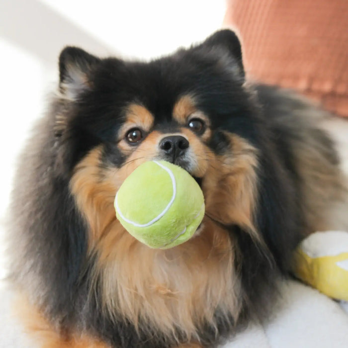 Lambwolf Collective Tennis Dog Toy Set