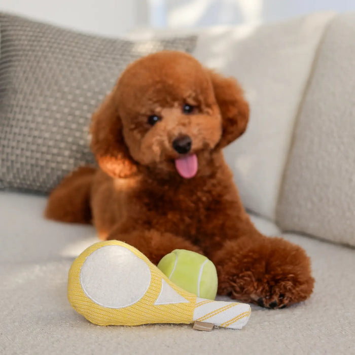 Lambwolf Collective Tennis Dog Toy Set