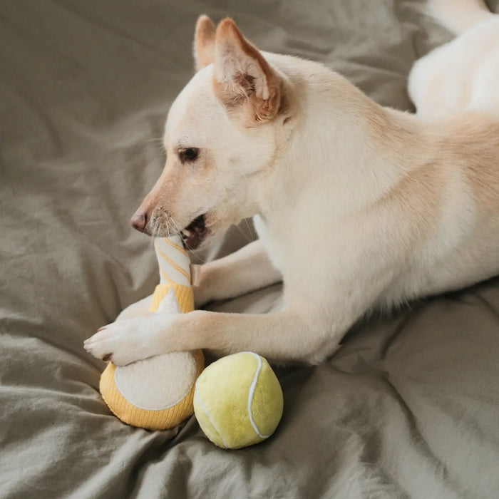 Lambwolf Collective Tennis Dog Toy Set