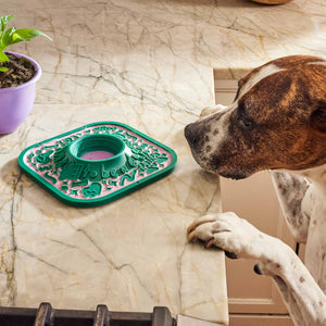 Fresh Innovation From Our Biggest Brand