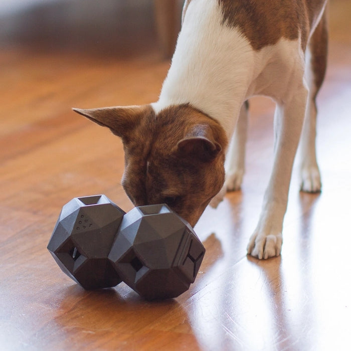 "The Odin" Enrichment Treat Dispenser Toy for Dogs