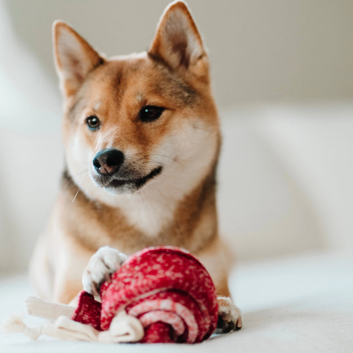 Lollipop Soft Snuffle Enrichment Toy for Dogs