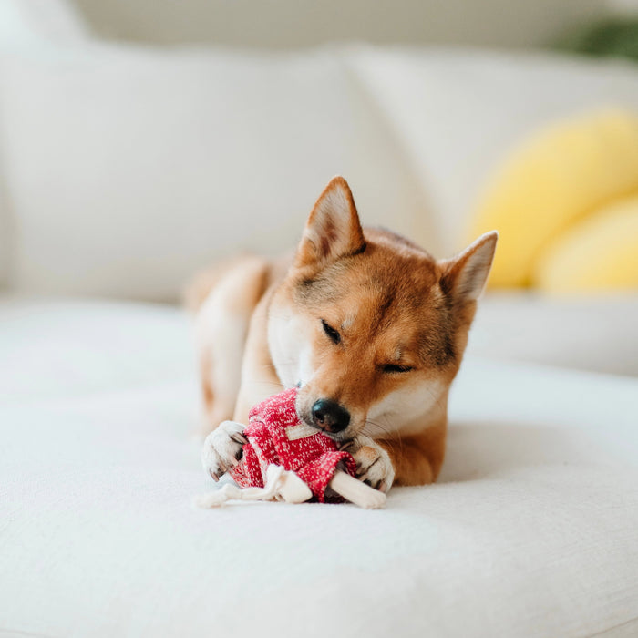 Lollipop Soft Snuffle Enrichment Toy for Dogs