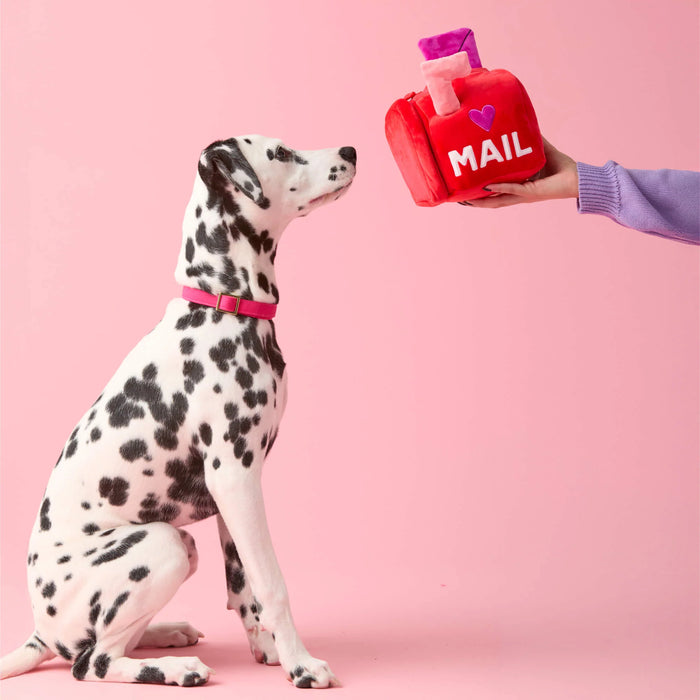 The Foggy Dog Love Letters Valentine's Day Dog Toy