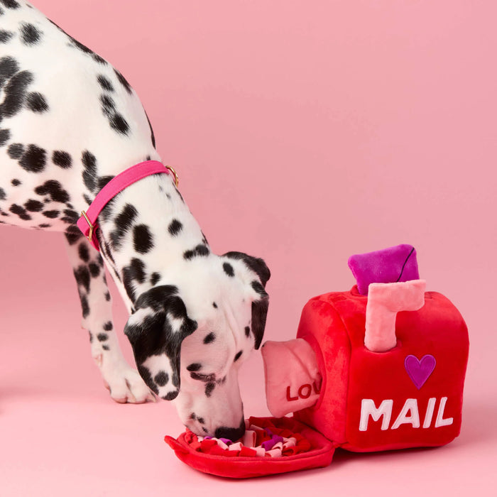 The Foggy Dog Love Letters Valentine's Day Dog Toy
