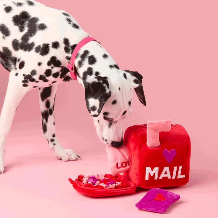 The Foggy Dog Love Letters Valentine's Day Dog Toy