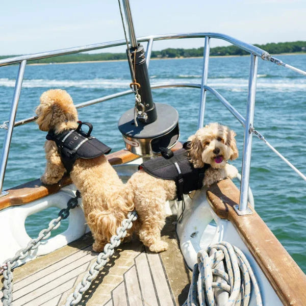 Life Jacket for Dogs