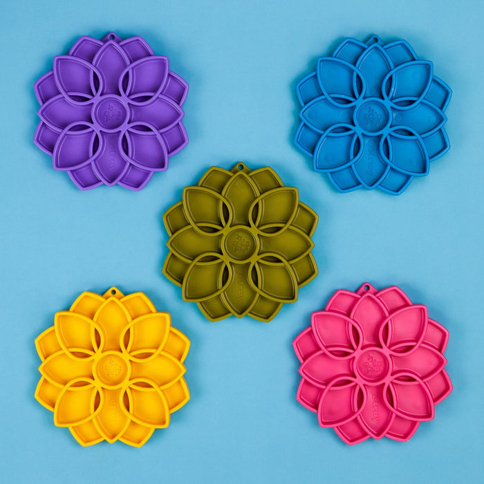 5 x Rainbow Mandala Enrichment Tray Selection for Dogs (Get 1 FREE)