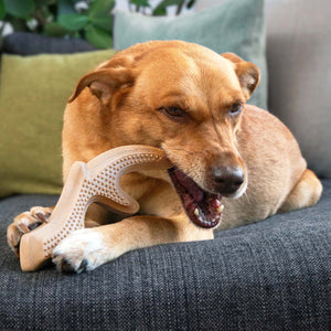 Woof's No Nasties Plant Based Chew Toy