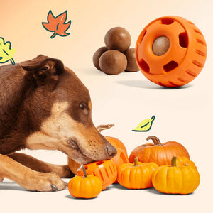 Limited Edition Orange Pupsicle Toy