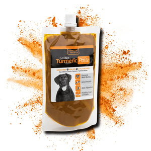 Tantalising Turmeric for a Healthy Dog