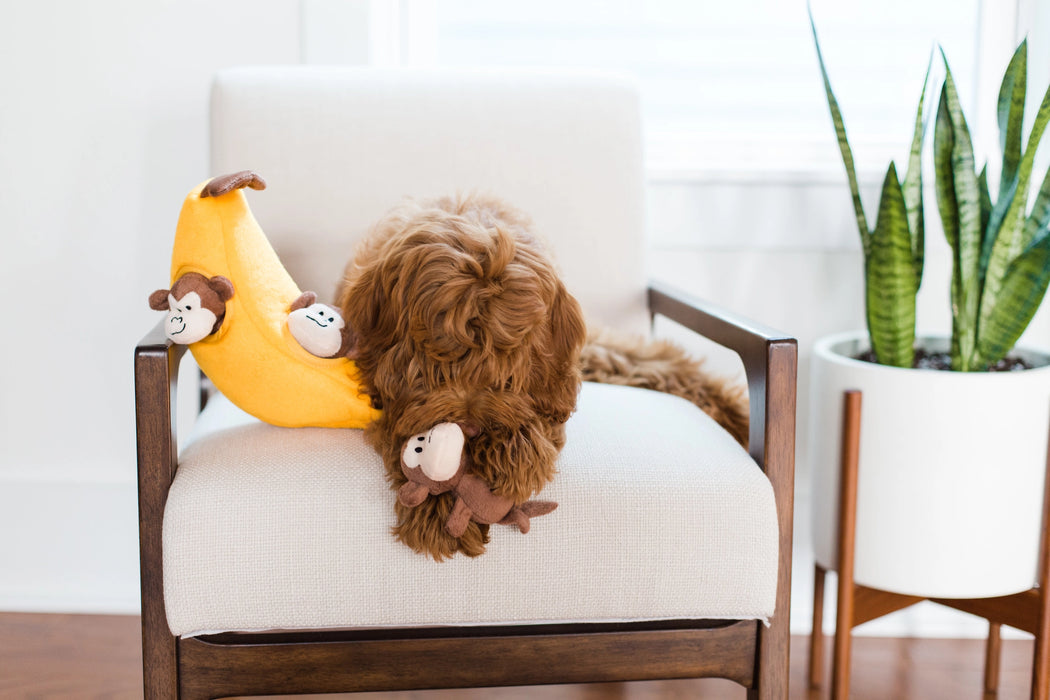 Monkeys and Banana Burrow, Soft Squeaky Dog Toy