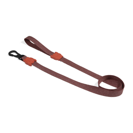 brown Dog lead on a white background