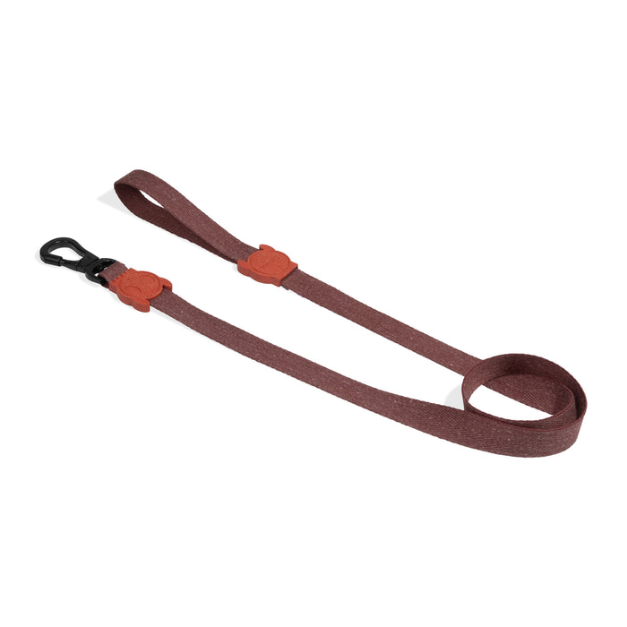 brown Dog lead on a white background