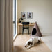 Dog lying on a wooden floor next to a cone-shaped pet bed in a room with a desk and framed pictures.