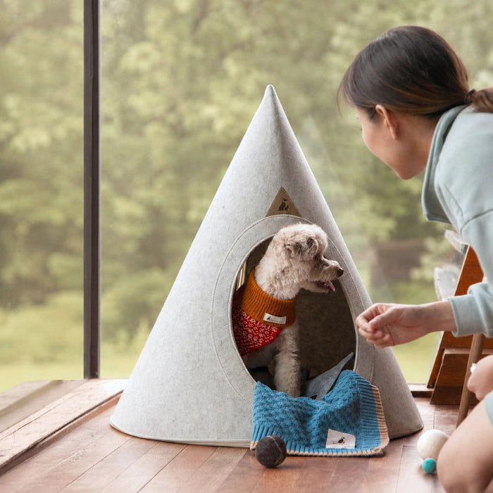 Person interacting with a small dog inside a cone-shaped pet bed by a window.