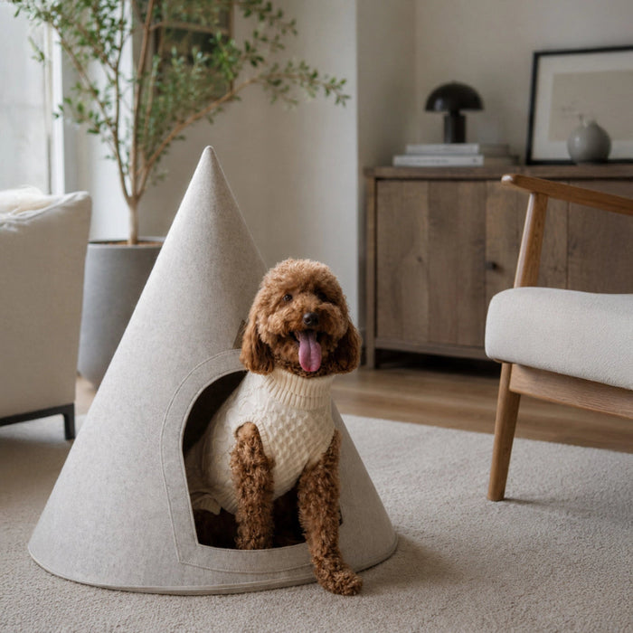 Dog in a sweater inside a cone-shaped pet bed in a living room.