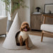 Dog in a sweater inside a cone-shaped pet bed in a living room.