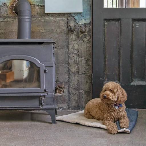 Poodle on the mat next to a log burner