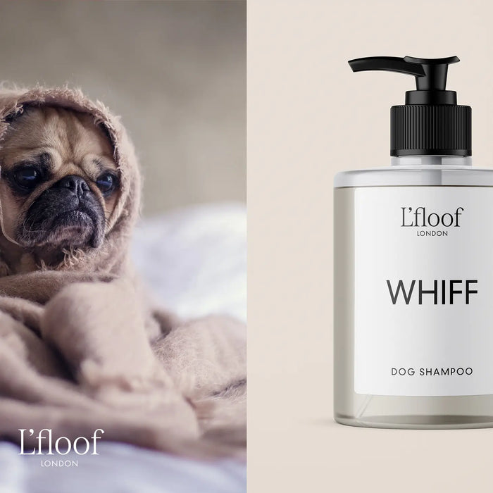 WHIFF Orange Oil Natural Dog Shampoo - 500ml