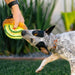 Dog playing with a toy shaped like a sliced avocado outdoors