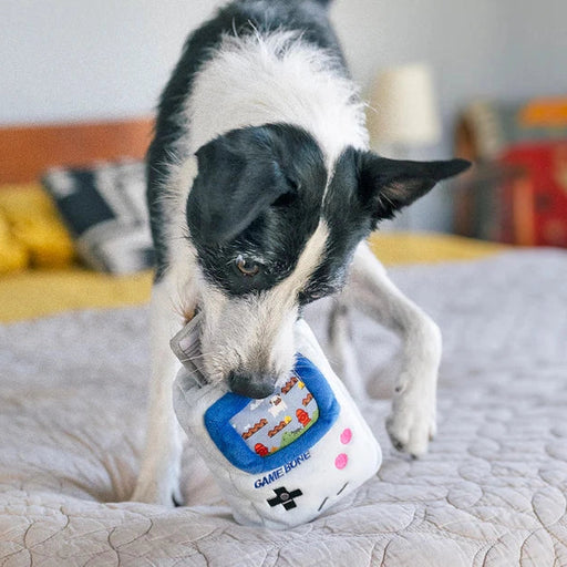 A black and white dog is lying on a bed, playing with a white and blue handheld video game toy.