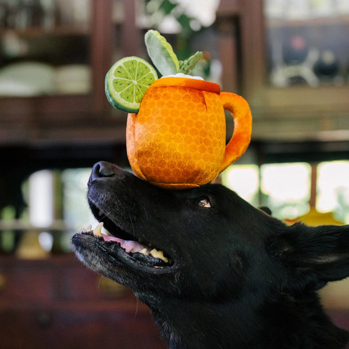 Black dog with an orange mug on its head, featuring lime and lemon slices, in a blurred indoor setting.