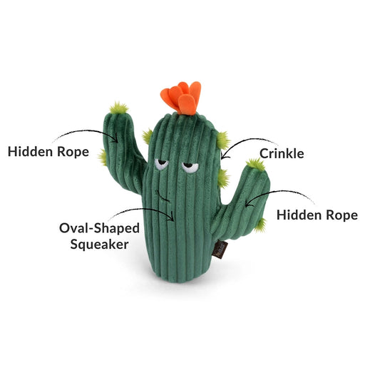 A green plush cactus dog toy with an orange flower on top, white eyes, and black callout lines labeling features such as Hidden Rope, Crinkle, Hidden Rope, and Oval-Shaped Squeaker, on a plain white background.