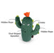 A green plush cactus dog toy with an orange flower on top, white eyes, and black callout lines labeling features such as Hidden Rope, Crinkle, Hidden Rope, and Oval-Shaped Squeaker, on a plain white background.