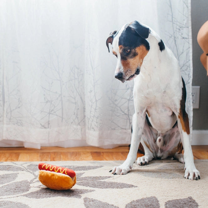 Dog sitting on a rug next to a hot dog toy indoors.