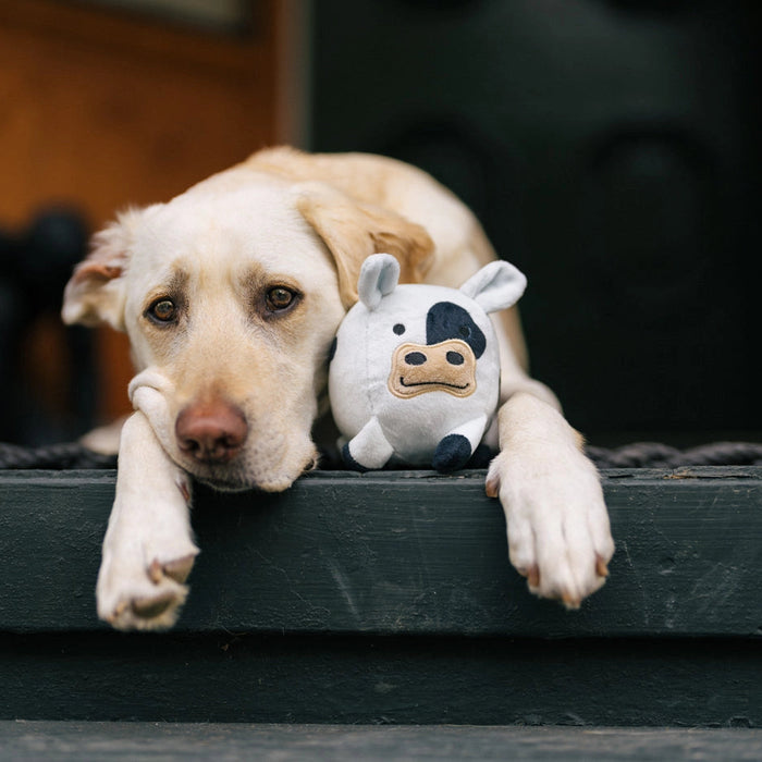 Dog holding a cow-shaped toy on a step