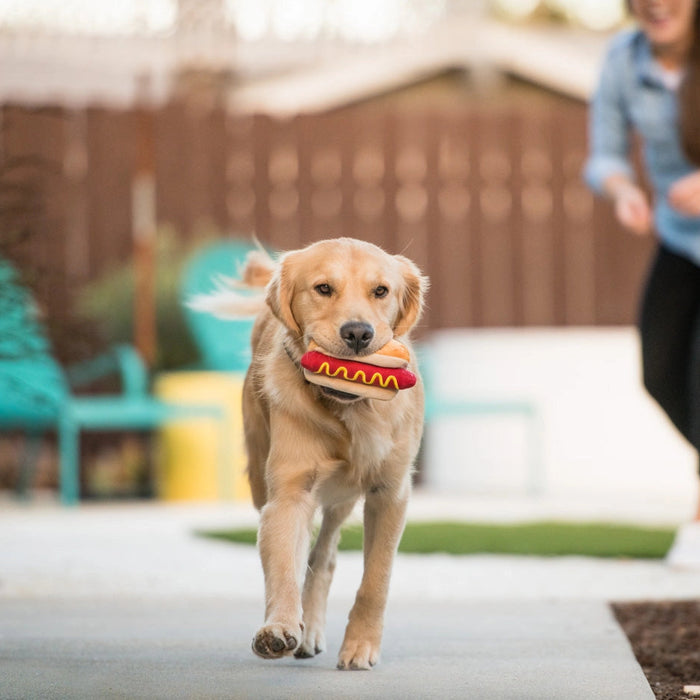 Dog running with a toy in a backyard