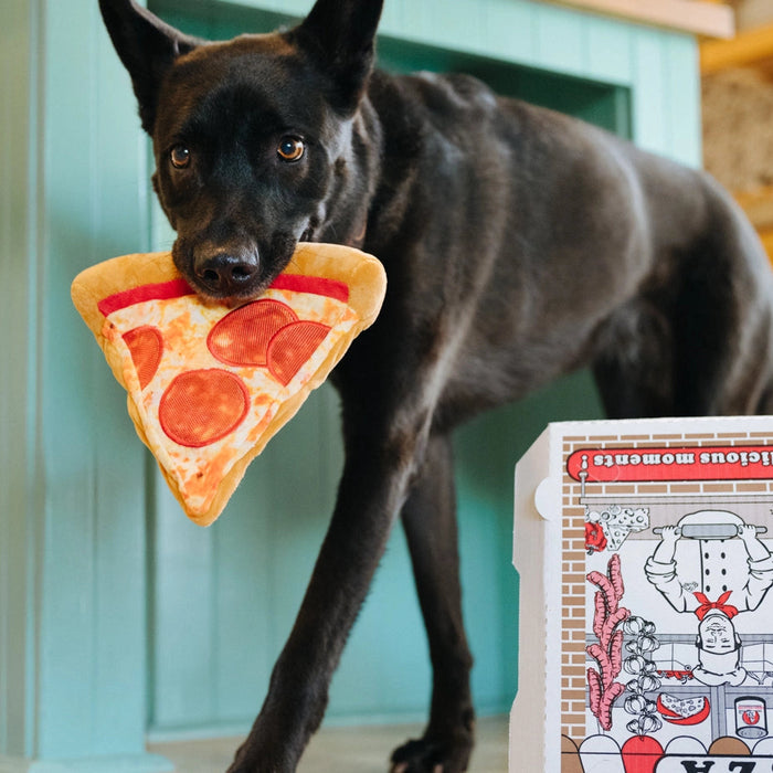 Dog holding a pizza slice toy with a card game box in the background