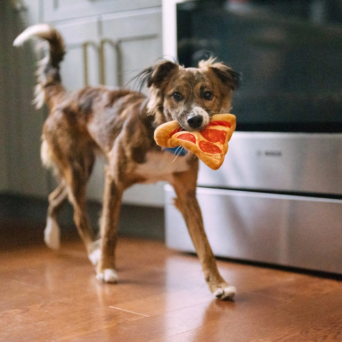 Dog holding a toy in its mouth in a kitchen setting