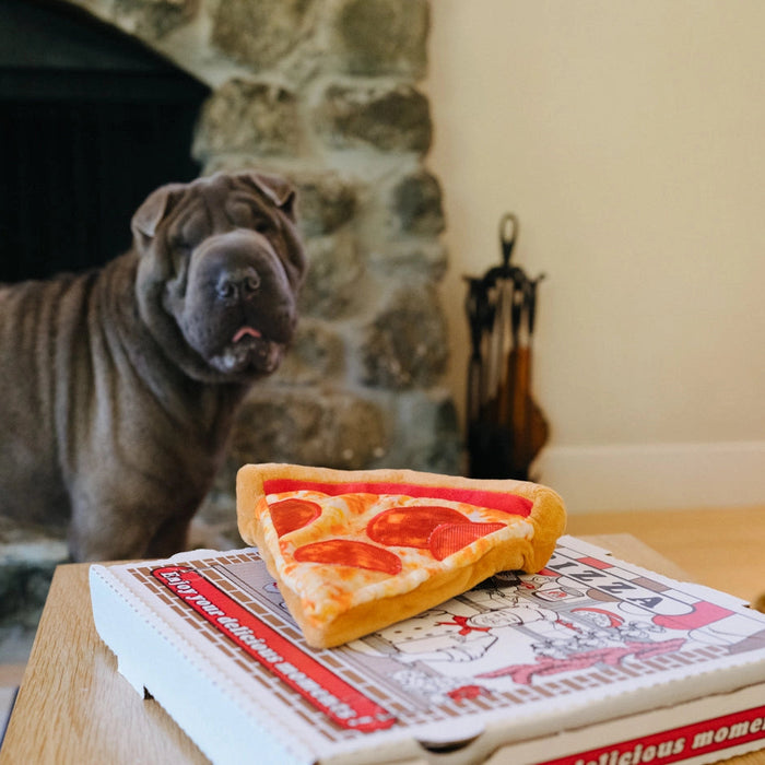 Dog looking at a pizza slice on a box with a fireplace in the background